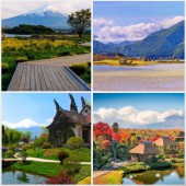 Ngắm núi Phú Sĩ từ những công viên tuyệt đẹp ở Yamanashi